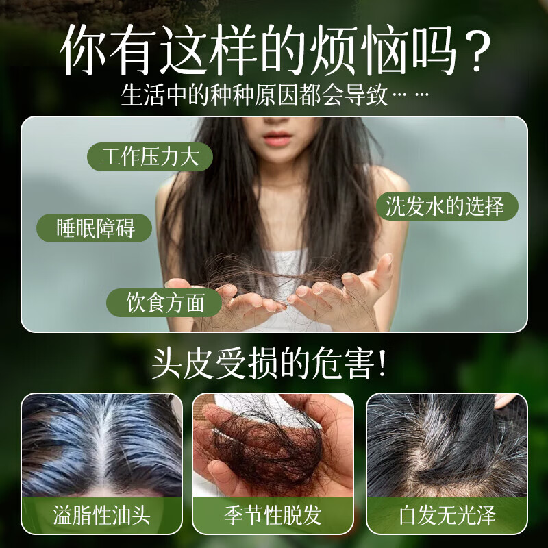 Dyey Hong Kong Pharmaceutical Platycladus orientalis leaf shampoo soap oil control anti-dandruff anti-itch anti-hair loss shampoo polygonum multiflorum herbal soap