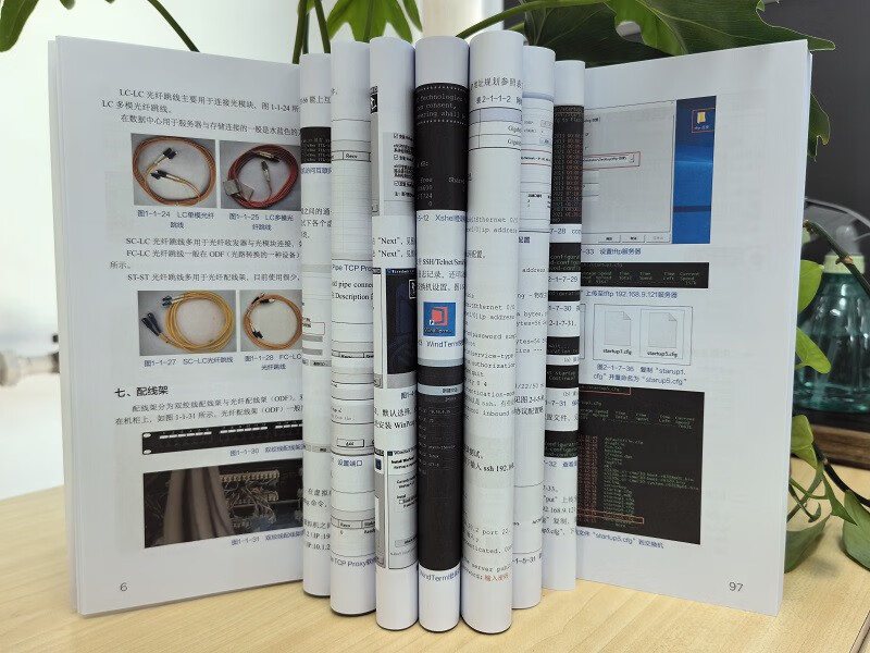 Network Operations and Maintenance from Beginner to Master (2nd Edition)