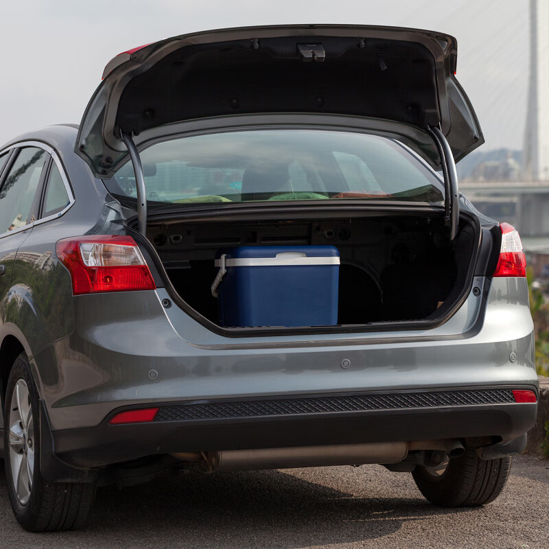 Insulation box car-mounted portable commercial refrigerator outdoor ice bucket stall cold food preservation box wj 10L economical EPS material dark blue free 10 ice