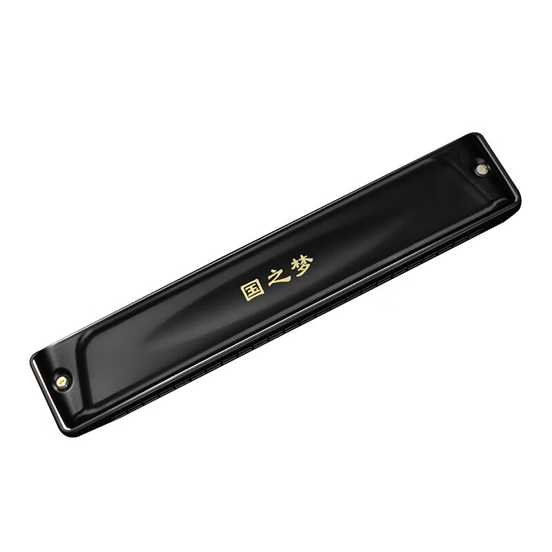 Guoguang Guoguang genuine harmonica 24-hole polyphonic C key 28-hole accented adult professional performance level beginner entry 28-hole black polyphonic C key professional performance