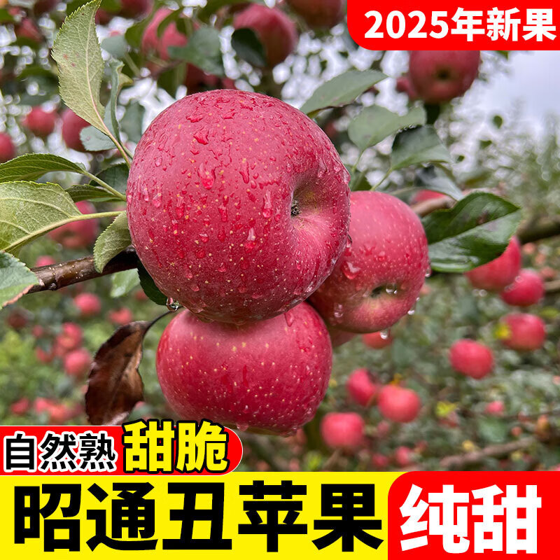 2025 Authentic Yunnan Zhaotong Rock Candy Heart-Chou Apple Fresh Fruit Apple Seasonal Crisp Sweet Fruit Origin Straight Hair 9 Jin Packed Large Fruit (80-90mm)