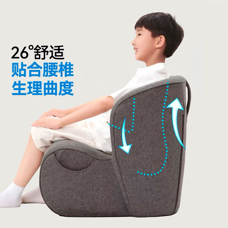 Leban ergonomic waist-protecting small sofa living room bedroom small apartment children's reading sofa lazy single sofa seat upgraded version normal dark gray