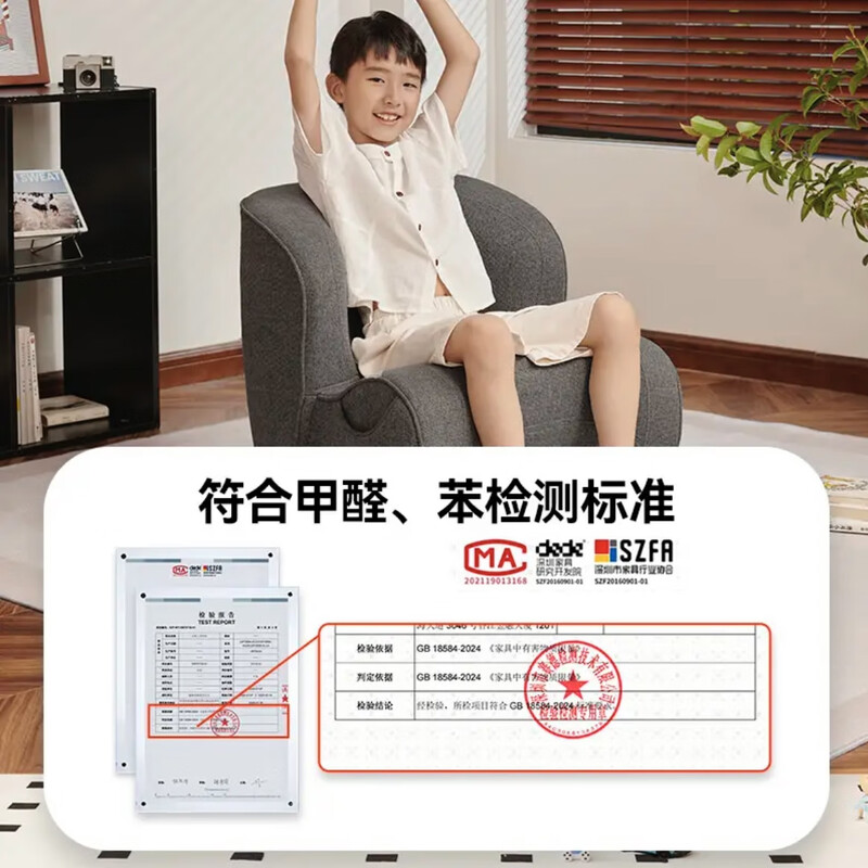 Leban ergonomic waist-protecting small sofa living room bedroom small apartment children's reading sofa lazy single sofa seat upgraded version normal dark gray