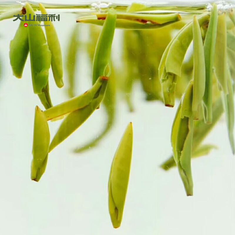 Gannan Meitan Cuiya gift box 2024 new tea Guizhou Zunyi green tea specialty native product 125g canned