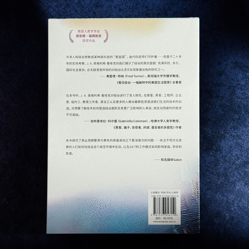 Silicon Valley Culture (Mint Experiment)