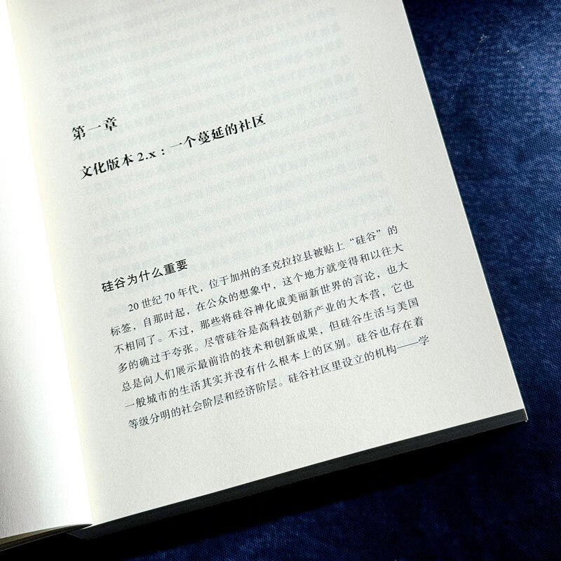 Silicon Valley Culture (Mint Experiment)