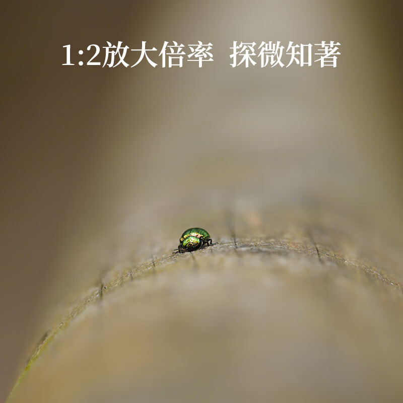 SIGMA 20-200mm F3.5-6.3 DG Contemporary full-frame mirrorless camera, travel the world with one lens (L mount)