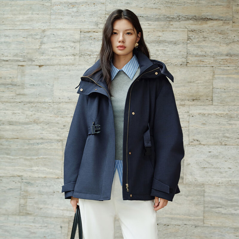 Ai Lai down jacket women's outdoor sports 90 goose down short retro hooded advanced slimming New Year jacket Eclipse blue L