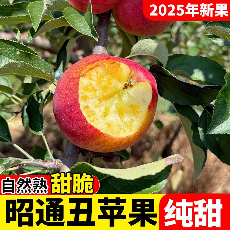2025 Authentic Yunnan Zhaotong Rock Candy Heart-Chou Apple Fresh Fruit Apple Seasonal Crisp Sweet Fruit Origin Straight Hair 9 Jin Packed Large Fruit (80-90mm)