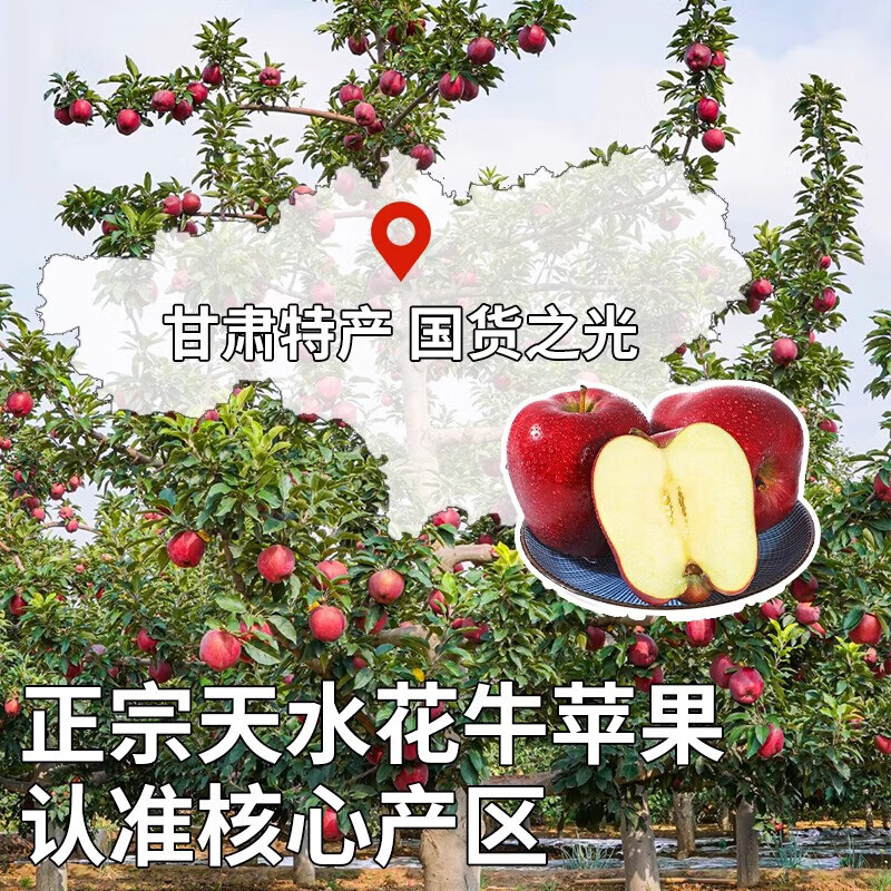 Uncle Sam Huaniu Apple Flash Delivery Gansu Tianshui Noodles Apple Fruit Gift Box Snake Fruit New Year's Day Sweetness Upgrade Fruit King 80-85mm 9 catties Best Deal - All-you-can-eat for the whole family Net 8.5 catties