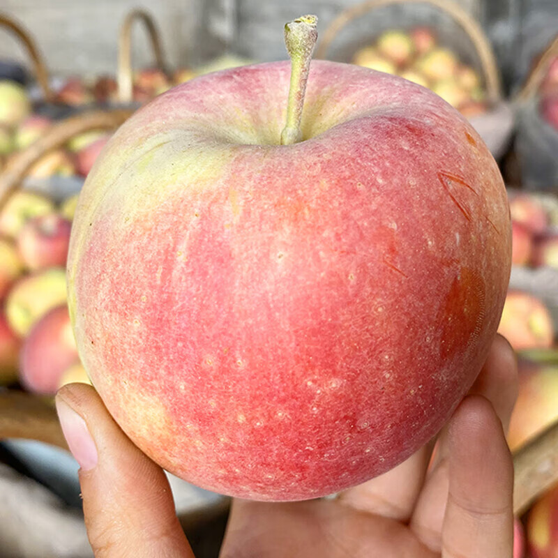 Longduoxian Xinjiang Rock Candy Apples, Ugly Apples, Fresh Fuji Seasonal Fruits, Recommended Holiday Gifts, Full Box of 5 Jin, Selected Fruit with Diameter 80-95MM, Net 4.5 Jin