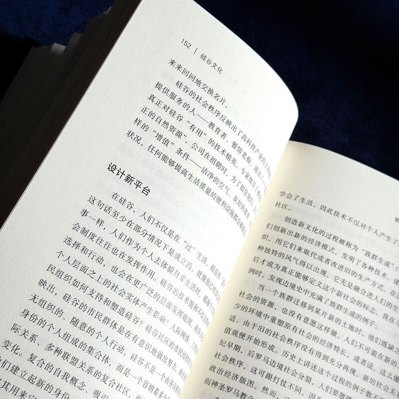 Silicon Valley Culture (Mint Experiment)