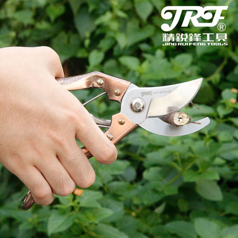 Xiangrong gardening pruning fruit tree tools pruning shears thick branch shears flower pruning scissors flower pruning tools rich gold