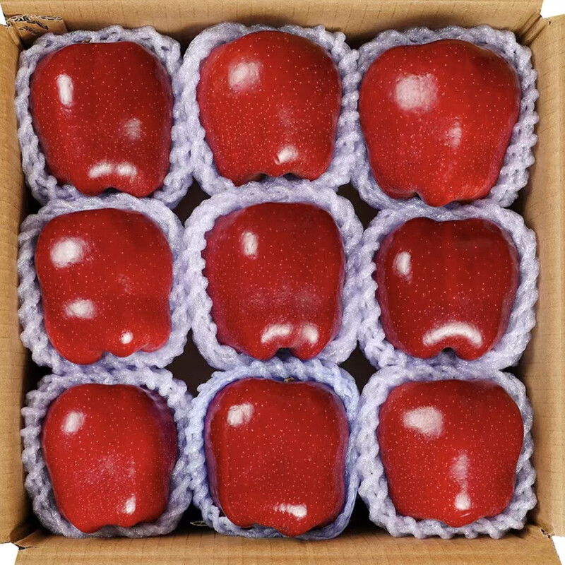 Huaniu Apple Gansu seasonal fresh red snake noodle apple baby food supplement fruit Mid-Autumn Festival gift box Huaniu Apple with box 3 pounds 70MM+