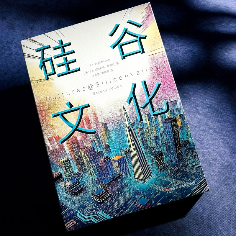 Silicon Valley Culture (Mint Experiment)