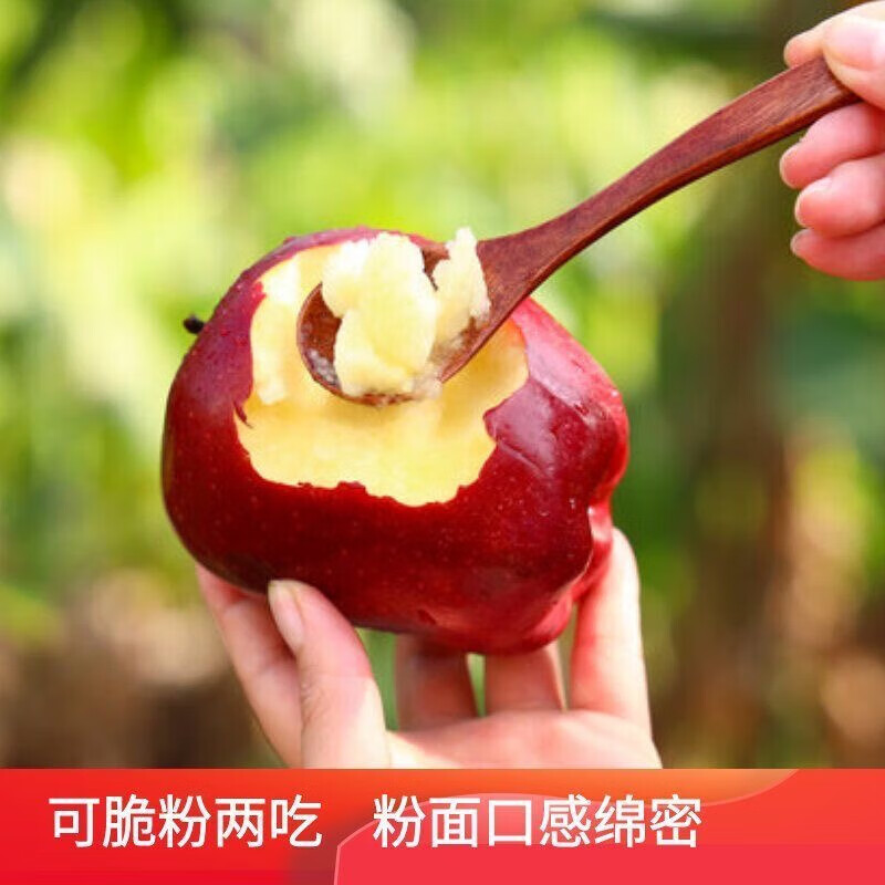 Huaniu Apple Gansu seasonal fresh red snake noodle apple baby food supplement fruit Mid-Autumn Festival gift box Huaniu Apple with box 3 pounds 70MM+