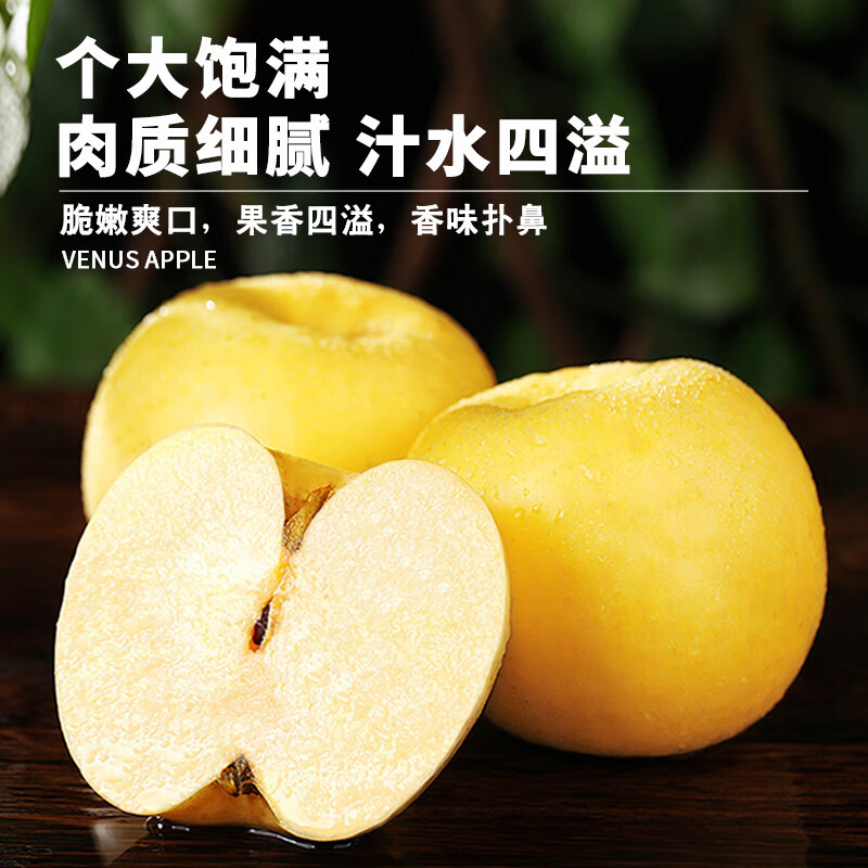 Uncle Sam Venus Apples, next-day delivery to multiple locations, golden apples, crispy and sweet, fresh new year gift box, fruit gift box, 5A quality fruit | single fruit 65-70mm, 10kg package, great deal - sharing package, net 8.5kg