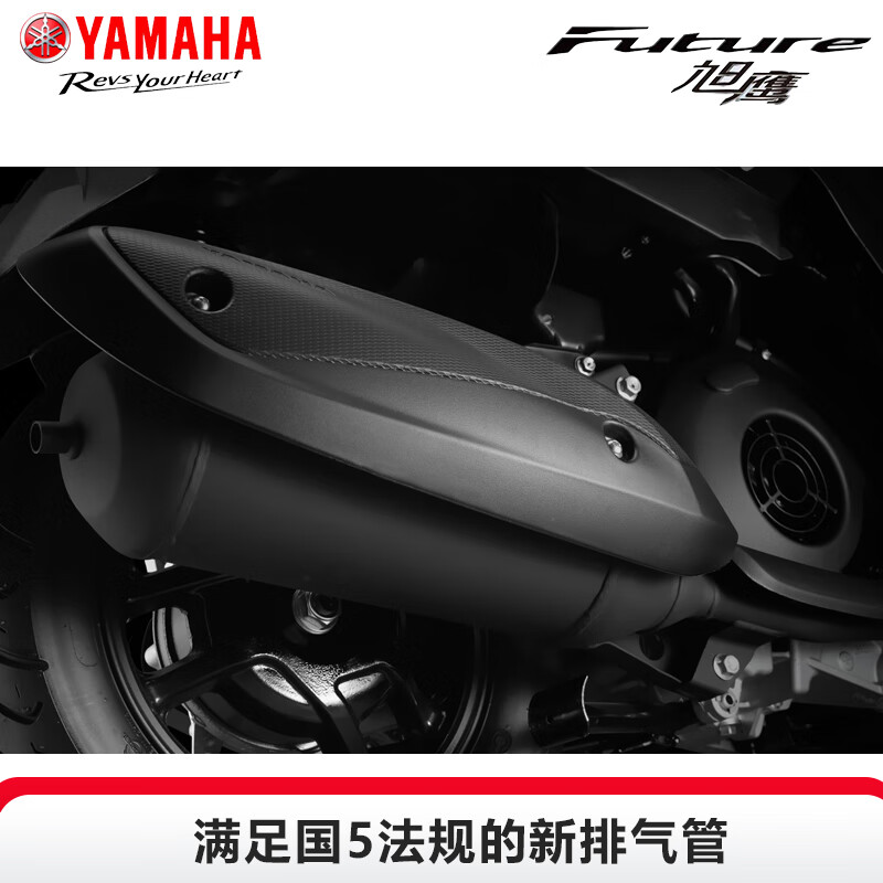Yamaha (YAMAHA) motorcycle scooter Xuying 125 EFI car YAMAHA National IV new fuel vehicle complete vehicle can be licensed for takeout Xuying Yuedong Edition-Mica Green Online Suggested Retail Price