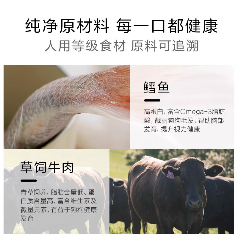 K9 Natural New Zealand original imported grain-free cat staple food canned food for adults and young cats, chicken flavor 170g*1 can