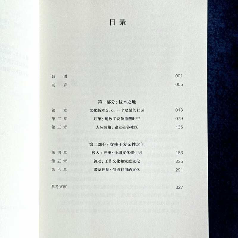 Silicon Valley Culture (Mint Experiment)