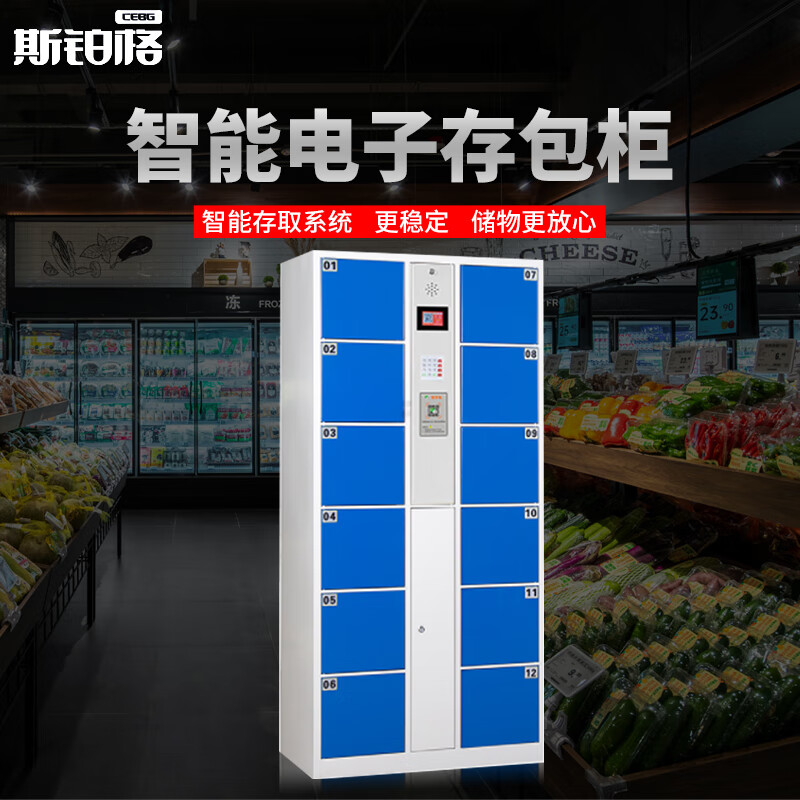 Spurge Electronic Bag Storage Cabinet Smart Storage Cabinet Mobile Phone Storage Cabinet Shopping Mall Locker Self-service Scanning Cabinet 12 Doors WeChat Scanning Blue