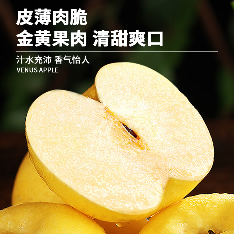 Uncle Sam Venus Apples, next-day delivery to multiple locations, golden apples, crispy and sweet, fresh new year gift box, fruit gift box, 5A quality fruit | single fruit 65-70mm, 10kg package, great deal - sharing package, net 8.5kg