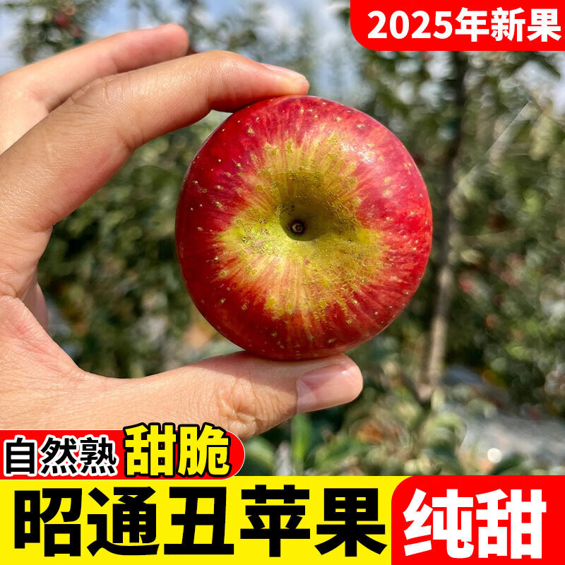 2025 Authentic Yunnan Zhaotong Rock Candy Heart-Chou Apple Fresh Fruit Apple Seasonal Crisp Sweet Fruit Origin Straight Hair 9 Jin Packed Large Fruit (80-90mm)
