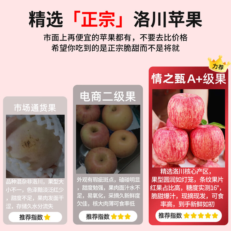 Authentic Shaanxi Luochuan apples, red Fuji, fresh seasonal rock candy, crispy and sweet, whole box of fresh fruits for pregnant women, about 8kg in box, single fruit 90mm+