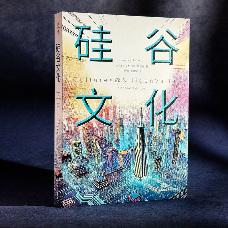 Silicon Valley Culture (Mint Experiment)