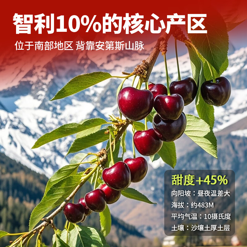 Aixianzhi Farm Chilean Cherries JD-Next Day Delivery to Many Places 4J Grade Imported Cherry Fruit Gift Box New Year Gift Box 3kg (Net Weight) Value Pack - 80% Select Enjoyable Gift Box Black Diamond Level Luxury Exclusive 4J Super Fruit King 32-34mm