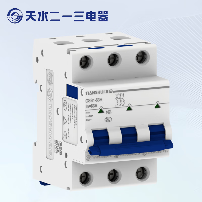 Tianshui 213 GSB1-63 small AC circuit breaker 1P micro air switch 2P household 3P main valve 4P GSB1-63L D type 1P 6A