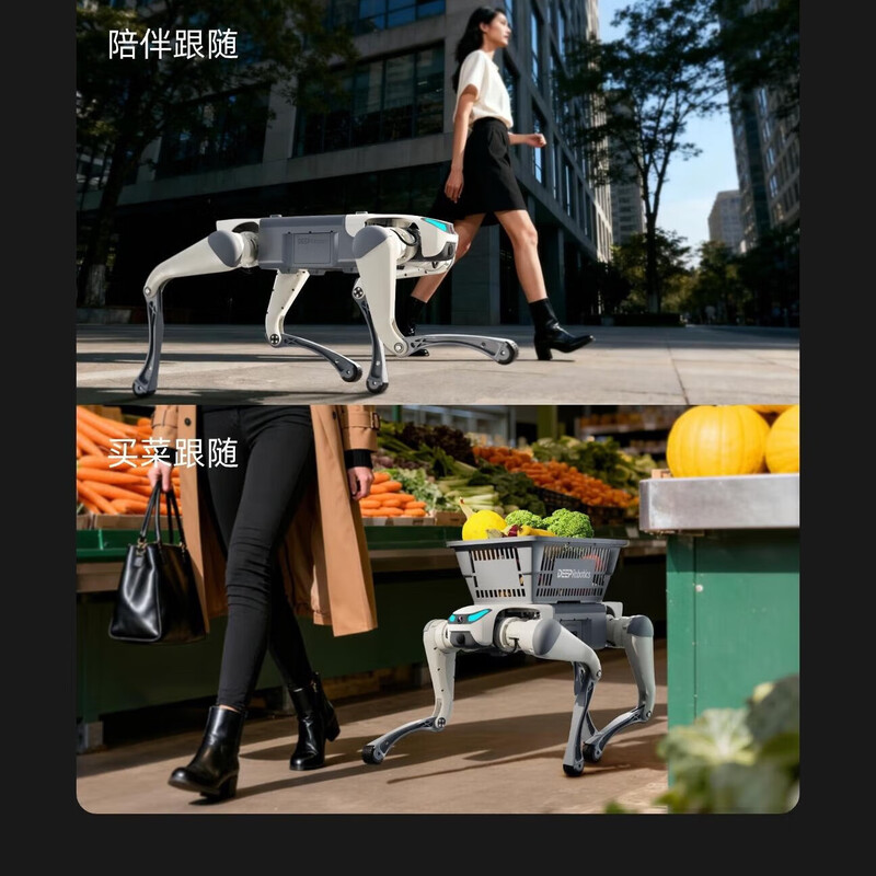 Miss Dolphin Cloud Deep Technology Lite3 Education and Research Intelligent Quadruped Robot Scenic Area Guide Machine Electronic Dog Mechanical Dog Electronic Pet Dog Automatically Follows Remote Control Robot Dog Discovery Edition