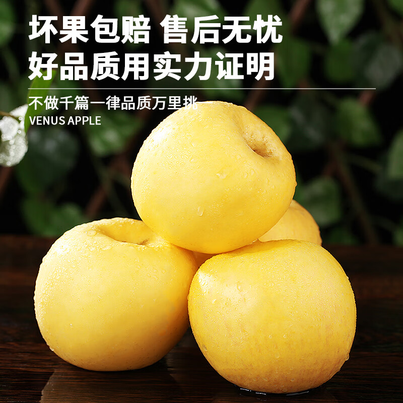 Uncle Sam Venus Apples, next-day delivery to multiple locations, golden apples, crispy and sweet, fresh new year gift box, fruit gift box, 5A quality fruit | single fruit 65-70mm, 10kg package, great deal - sharing package, net 8.5kg