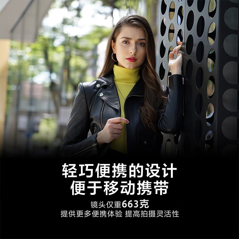 Sony (SONY) FE 24-105mm F4 G OSS full-frame standard zoom G lens (SEL24105G)