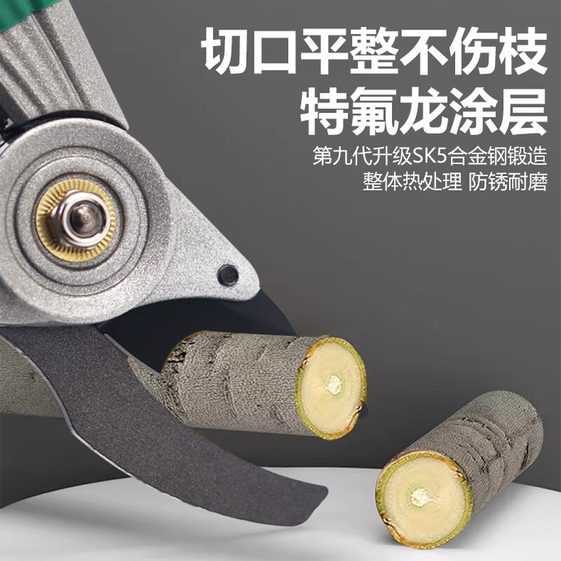 BERRYLION garden shears, household branch shears, pruning shears, branch shears, fruit branch grafting shears, flower tree shears, potted plant pruning shears, gardening shears