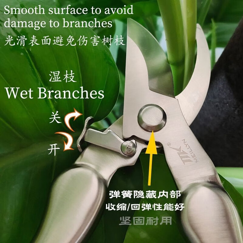 JCZS Japanese brand special scissors for cutting branches, pruning shears, stainless steel gardening flowers, grapes, fruit trees, fruit picking plant shears, silver pruning shears (curved mouth)