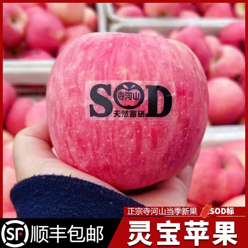 Muke Henan Lingbao Apple Temple Heshan natural selenium-rich apple SOD apple red Fuji fresh fruit New Year gift box without sod characters 80-85mm 15 pieces gift box shipped directly from the place of origin with SF Express free shipping
