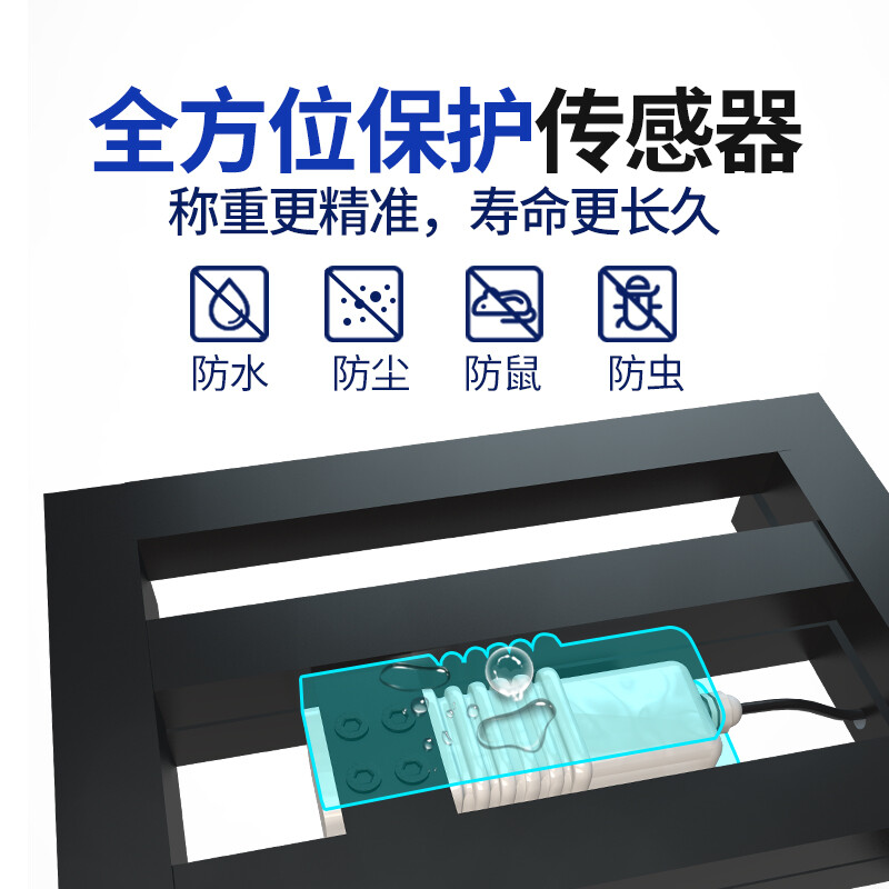 Zhizun (ZHIZUN) electronic scale for weighing goods, commercial platform scale for setting up stalls, electronic weighing floor scale, waterproof seafood and aquatic products express scale, 200kg table top 31*41, backlit for seafood and aquatic products