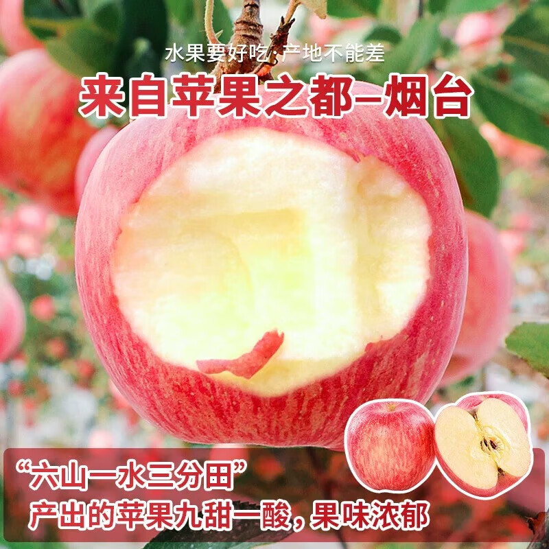 Crisp and sweet red Fuji apples, Shandong Yantai Qixia ugly apples, fresh fruit, whole box, 9-10 catties in box, sweet and medium-sized fruit