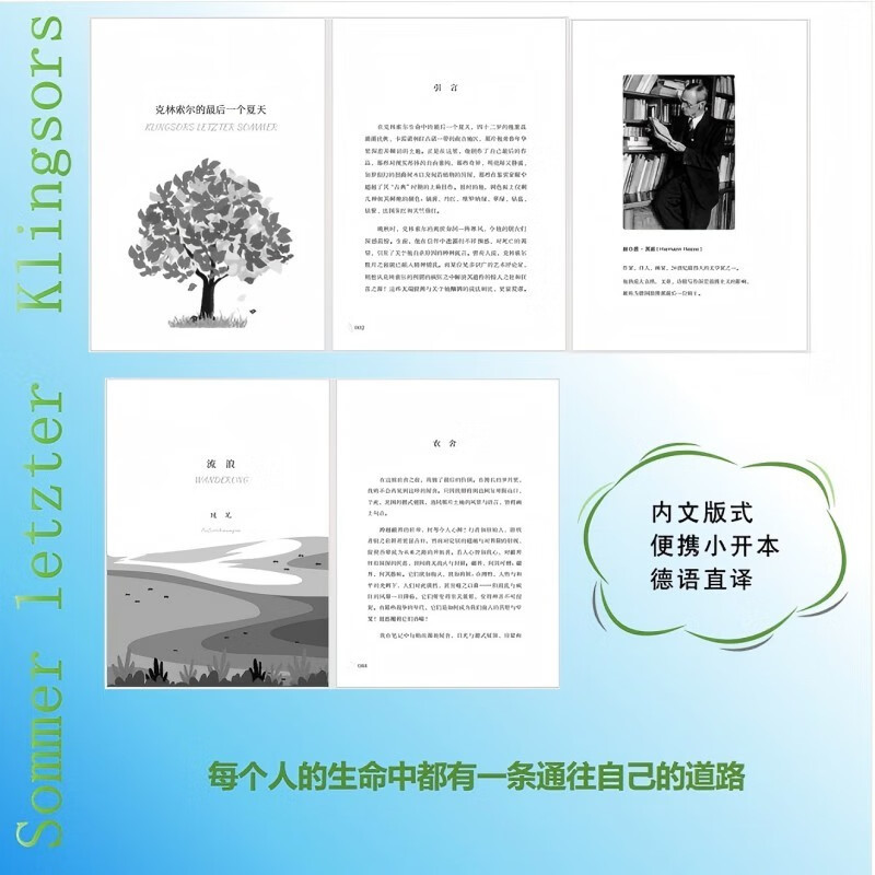 The Last Summer of Klingsor, customized version, written by Hermann Hesse, Nobel Prize winner's classic work, autobiographical novel, famous foreign literary novel