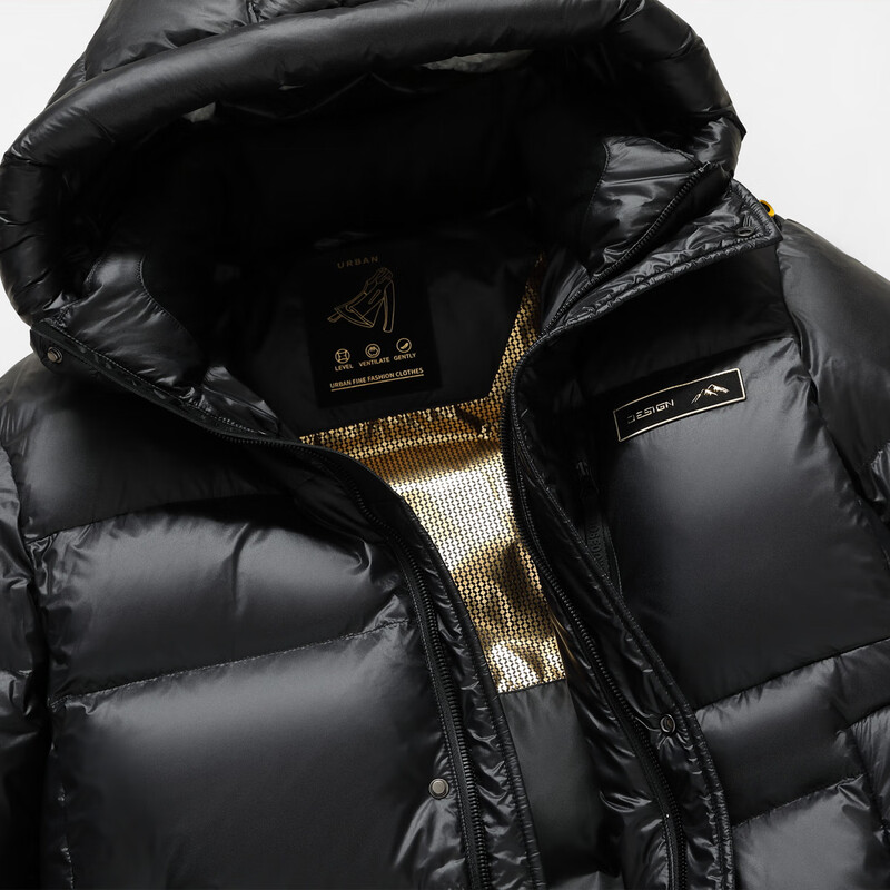 Flying in the Snow Goose Down Series Down Jacket Men's Mid-Length Hooded New Fashion Trend Shiny Warm and Cold-proof Thickened Jacket