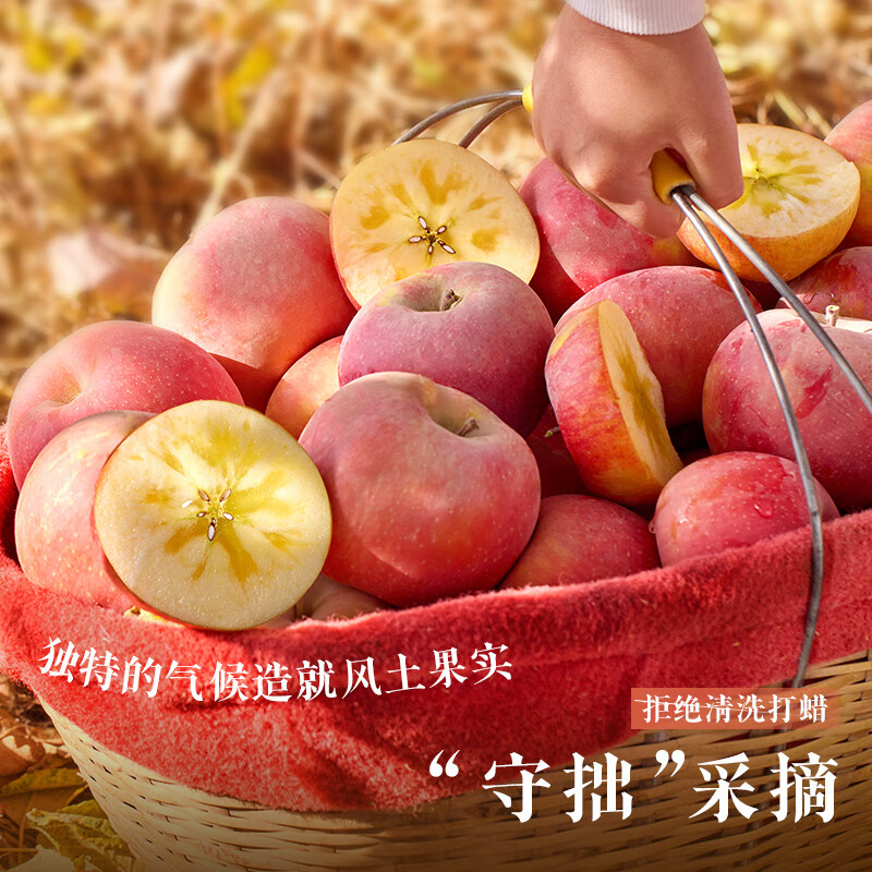 Jingdida Apple Gift Box Xinjiang Aksu Rock Candy Heart Apple Gift Box Net Weight 5 Jin Single Fruit 80mm Straight from the Source
