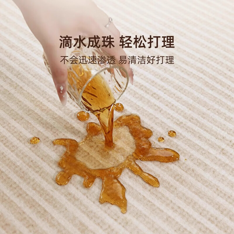Carpet living room 2025 new light luxury high-end sofa floor mat no-wash and wipeable home waterproof bedroom thick QYBR-24220 240cm*340cm