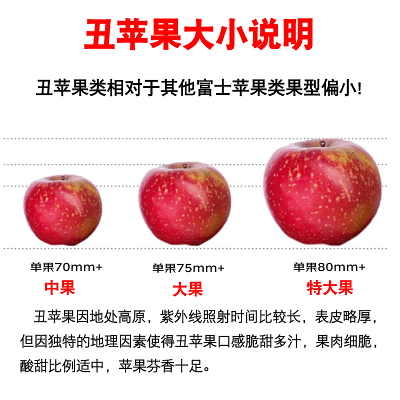Jingmi Sichuan Daliangshan Ugly Apple, 8 pounds net, single fruit 85mm+, fresh fruit rock candy heart apple, straight from the source