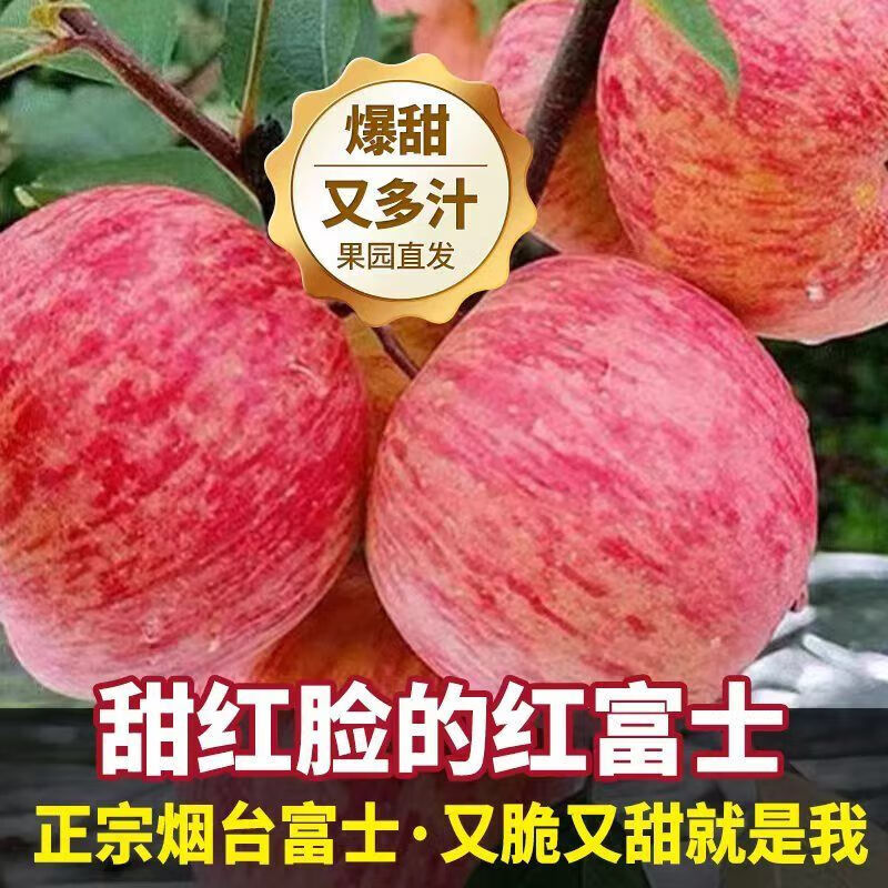 Crisp and sweet red Fuji apples, Shandong Yantai Qixia ugly apples, fresh fruit, whole box, 9-10 catties in box, sweet and medium-sized fruit