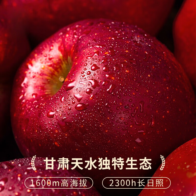Uncle Sam Huaniu Apple Flash Delivery Gansu Tianshui Noodles Apple Fruit Gift Box Snake Fruit New Year's Day Sweetness Upgrade Fruit King 80-85mm 9 catties Best Deal - All-you-can-eat for the whole family Net 8.5 catties