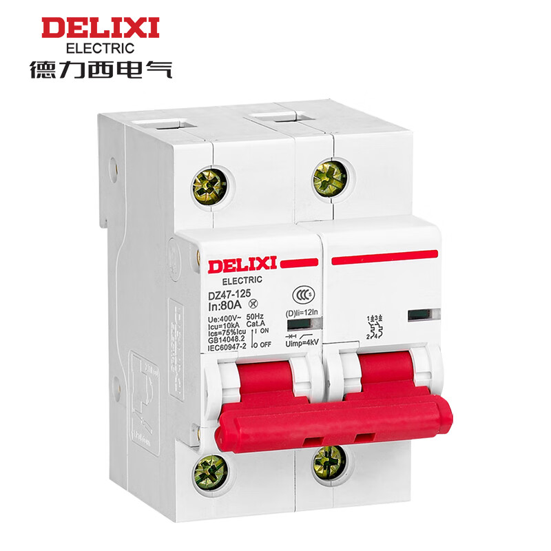 Delixi Electric DZ47-125 high current circuit breaker DZ471252D80 2P 80A D type 10kA 400VAC