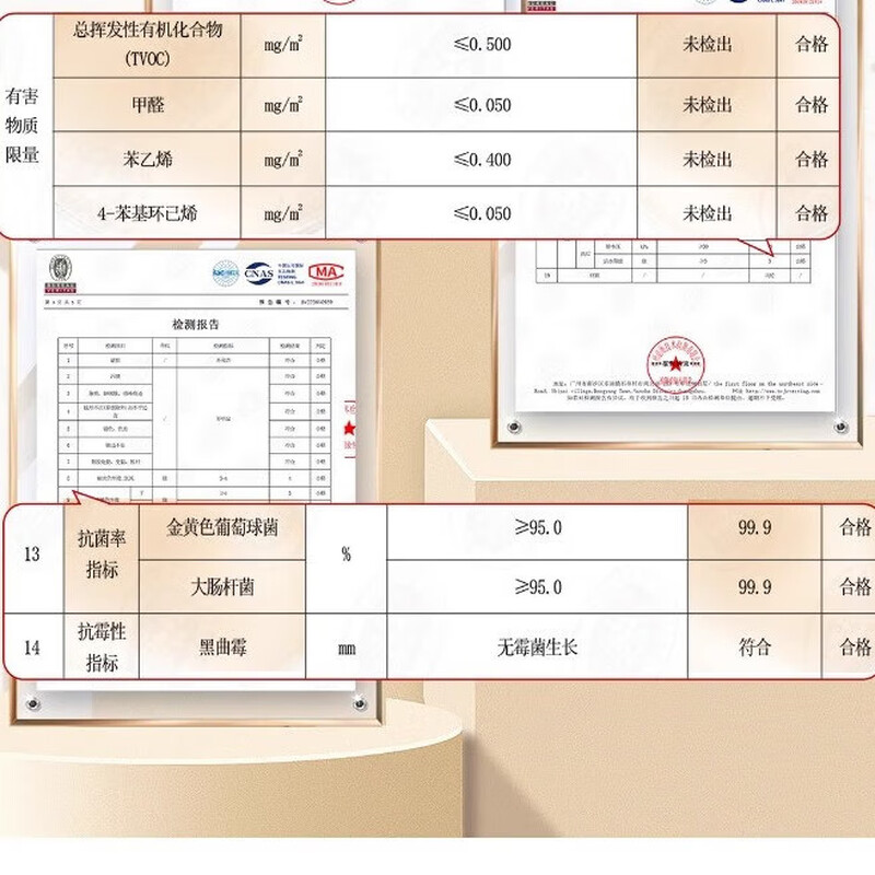 Carpet living room 2025 new light luxury high-end sofa floor mat no-wash and wipeable home waterproof bedroom thick QYBR-24220 240cm*340cm