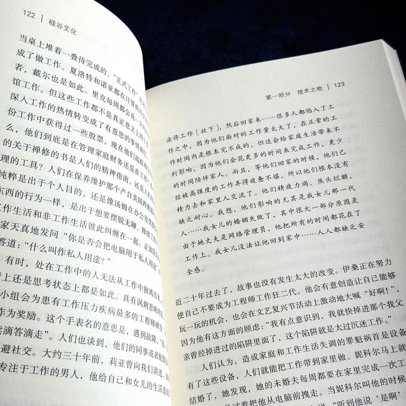 Silicon Valley Culture (Mint Experiment)