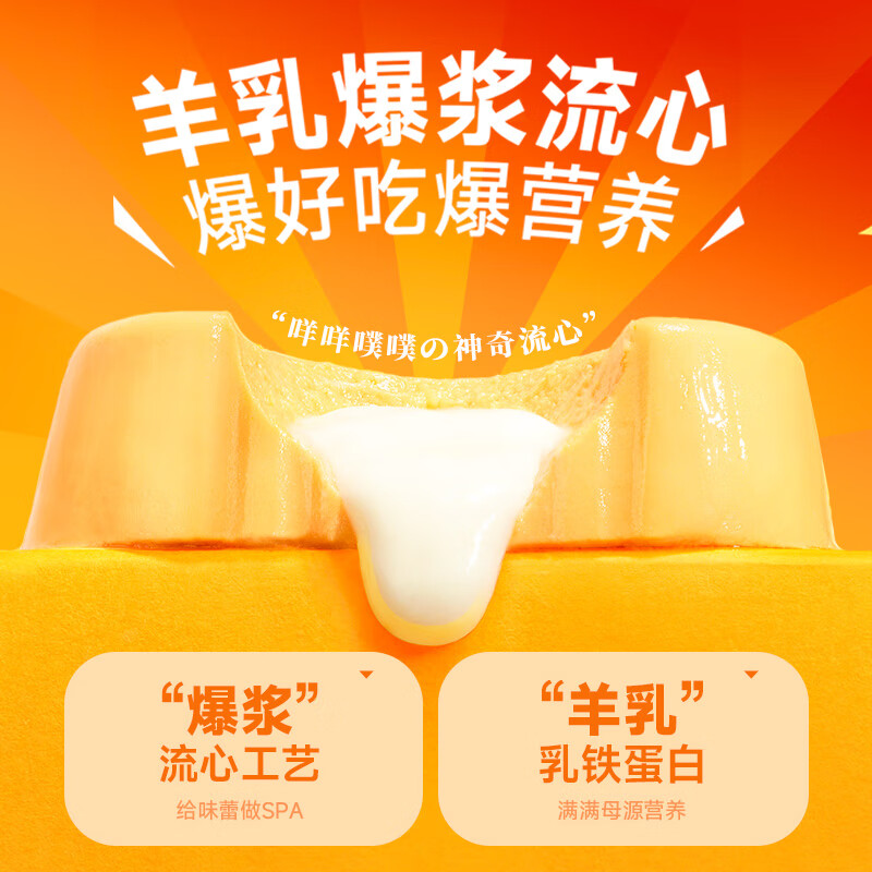 Brand Shishi Ruyi staple food lunch box core Yimanman series dog and cat universal cat canned snacks cat wet food 100g